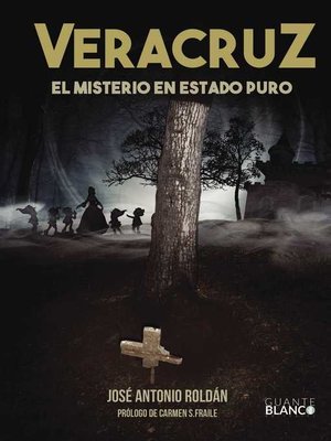 cover image of VERACRUZ EL MISTERIO EN ESTADO PURO